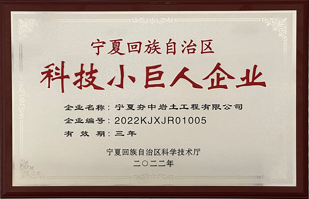 5寧夏回族自治區科技小巨人企業.png